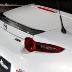 Kansai Service Trunk Lip, Carbon-0