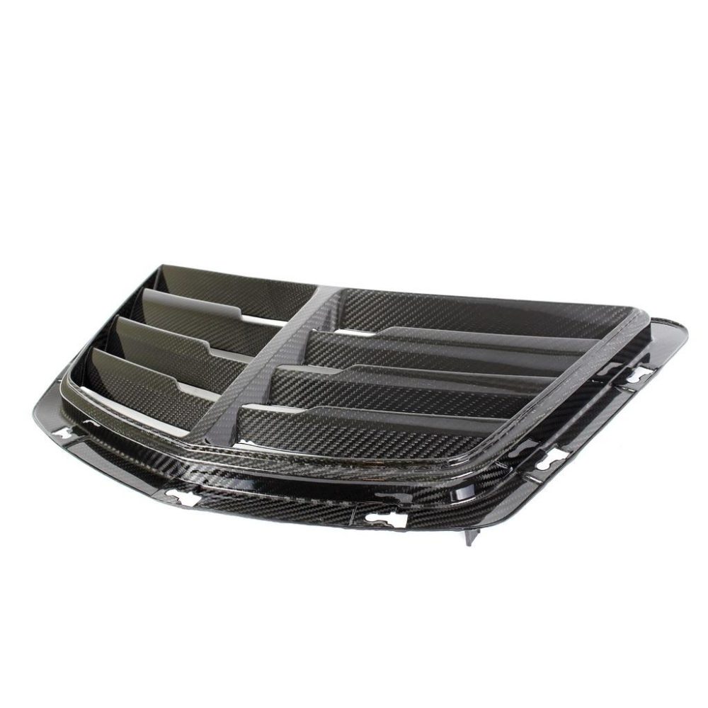 APR Performance Carbon Hood Vent
