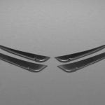 Capristo Carbon Front Fins for Ferrari 458 Speciale
