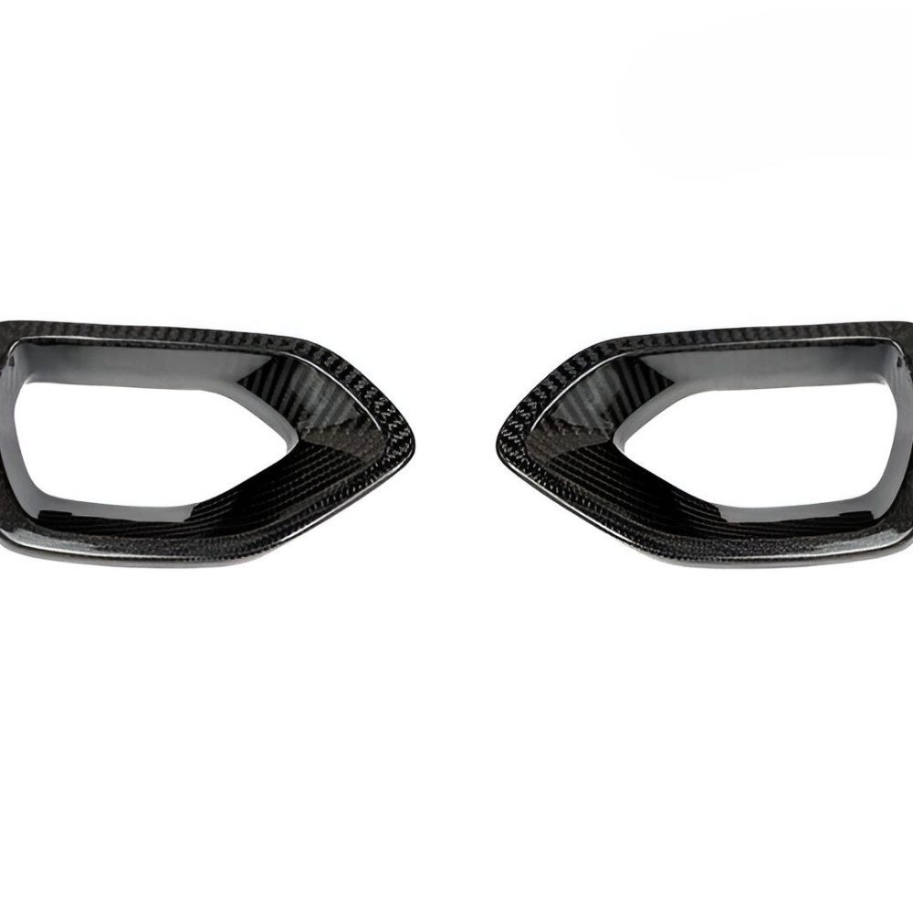 AutoTecknic Dry Carbon Grille Snorkel Set for LD Dodge Charger SRT Scat Pack