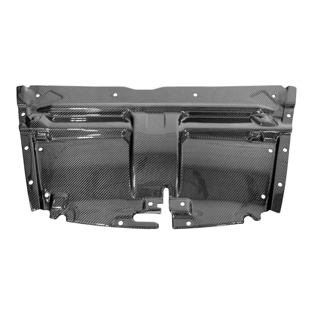 Exotic Car Gear Carbon Slam Panel for Aston Martin DB9 / DBS / Rapide / Virage