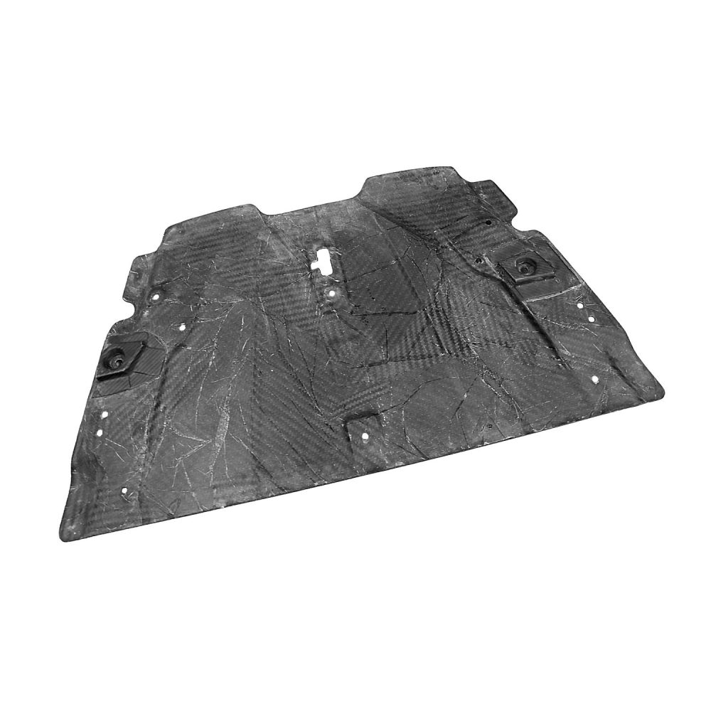 Exotic Car Gear Carbon Slam Panel for Aston Martin Vantage