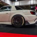 Varis 