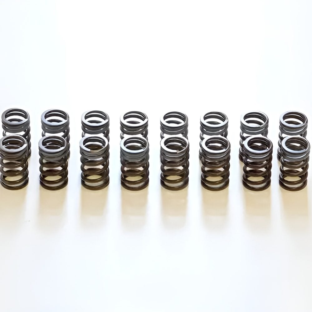 HKS STEP2 Valve Spring Upgrade for R32 / R33 / R34 Nissan Skyline GT-R