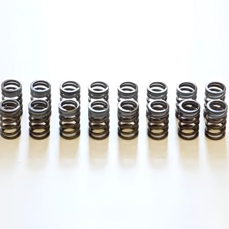 HKS STEP2 Valve Spring Upgrade for R32 / R33 / R34 Nissan Skyline GT-R [22001-AN001]