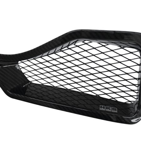 HKS Carbon Air Duct (for HKS oil cooler) for FL5 Honda Civic Type R [15999-AH001]