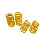 NOVITEC Temerario Sport Springs