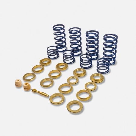 RYFT Performance Spring Kit for Lamborghini Aventador S / SV / SVJ / Ultimae [27-70-6003]