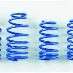 Spoon Sports Progressive Spring Set for FD2 Honda Civic Type R